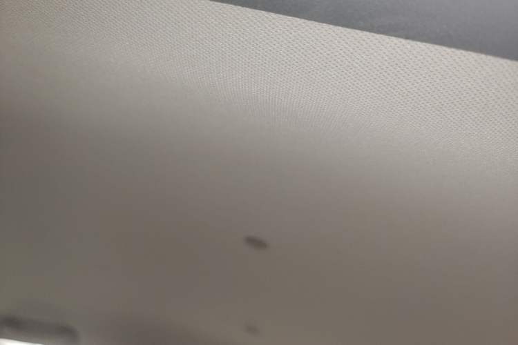 Used Great Wall M4 2012 1.5L Manual Luxury Version Headliner