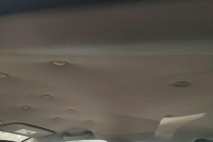 Used Great Wall M4 2012 1.5L Manual Luxury Version Headliner