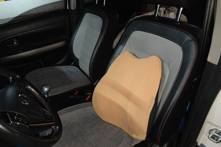 Used Great Wall M4 2014 1.5L Manual Luxury Model Left Front Seat
