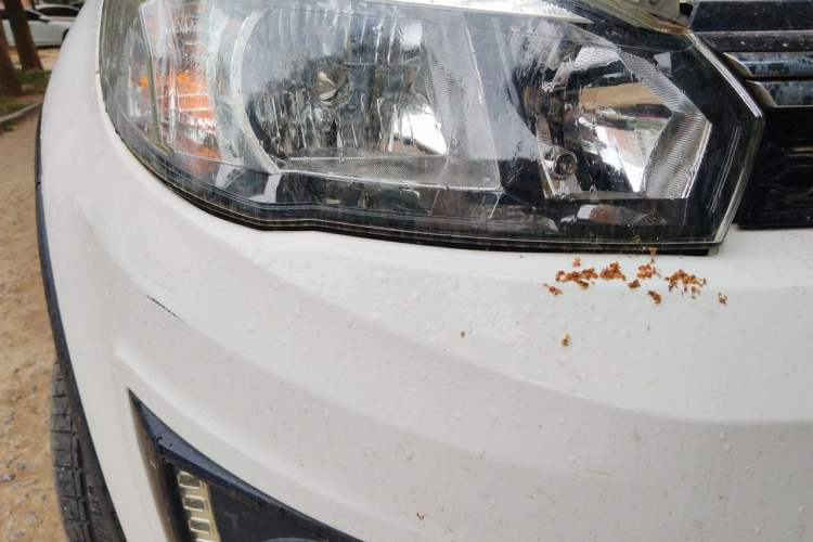 Used Great Wall M4 2014 1.5L Manual Luxury Model Right Front Headlight