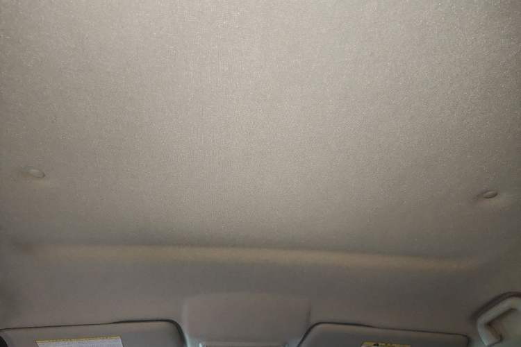 Used Great Wall Poer 2023 2.0T Commercial Version Automatic Diesel 4x4 Elite Long-Box GW4D20M Headliner