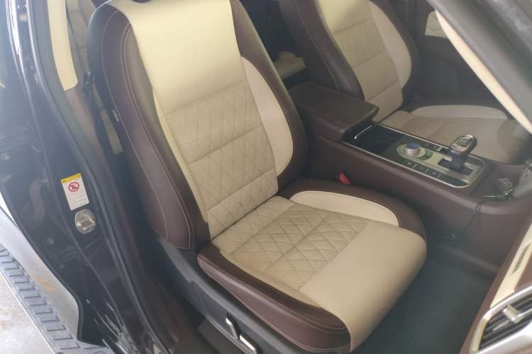 Used Great Wall Poer 2019 2.0T Automatic Gasoline 4x4 Premium Edition GW4C20B Right Front Seat