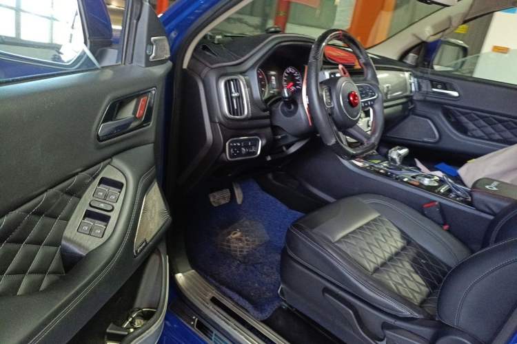 Used Great Wall Poer 2019 2.0T Automatic Gasoline 4x4 Comfort Edition GW4C20B Driver Seat