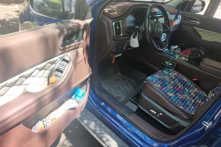Used Great Wall Poer 2019 2.0T Automatic Gasoline 4x4 Premium Edition GW4C20B Driver Seat