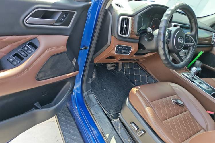 Used Great Wall Poer 2019 2.0T Automatic Gasoline 4x4 Sport Edition GW4C20B Driver Seat