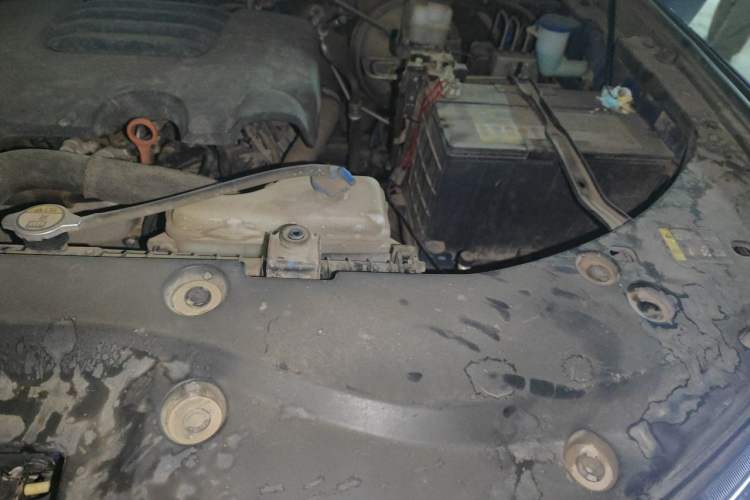 Used Great Wall Poer 2019 2.0T Automatic Gasoline 4x4 Comfort Edition GW4C20B Engine Bay Left