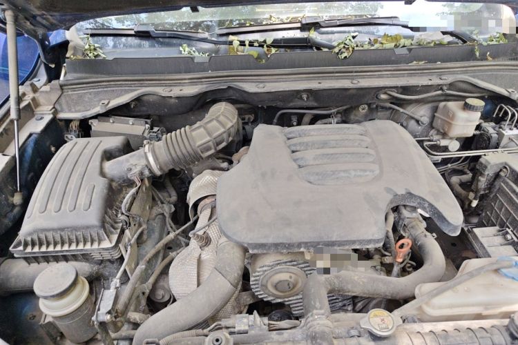 Used Great Wall Poer 2019 2.0T Commercial Version Manual Diesel 4x4 Elite Long-Box GW4D20M Engine Bay Right