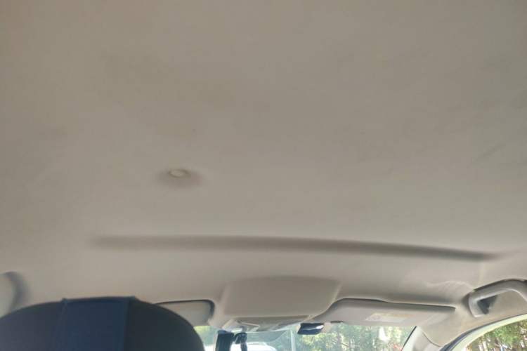 Used Great Wall Poer 2019 2.0T Commercial Version Automatic Gasoline Two-Wheel Drive Elite Trim with Long Bed – GW4C20B Headliner