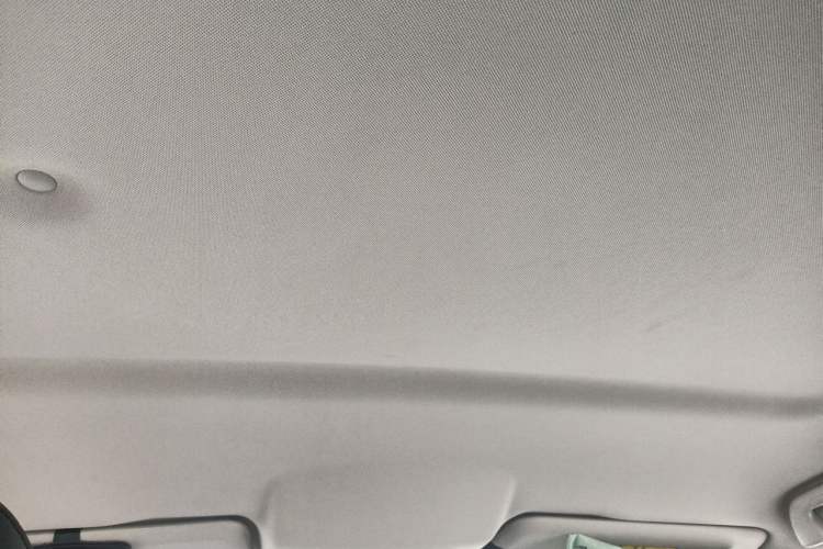Used Great Wall Poer 2019 2.0T Commercial Version Automatic Gasoline Two-Wheel Drive Elite Trim with Long Bed – GW4C20B Headliner