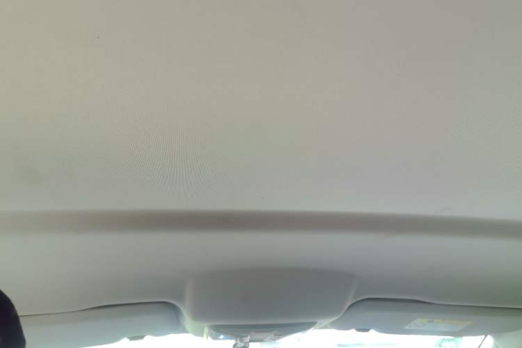 Used Great Wall Poer 2019 2.0T Commercial Version Automatic Gasoline Two-Wheel Drive Elite Trim with Long Bed – GW4C20B Headliner