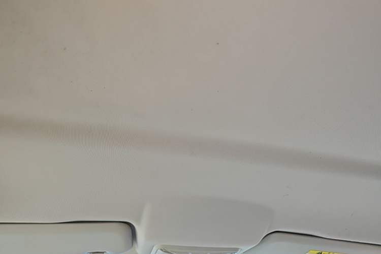 Used Great Wall Poer 2019 2.0T Commercial Version Manual Diesel 4x4 Elite Long-Box GW4D20M Headliner