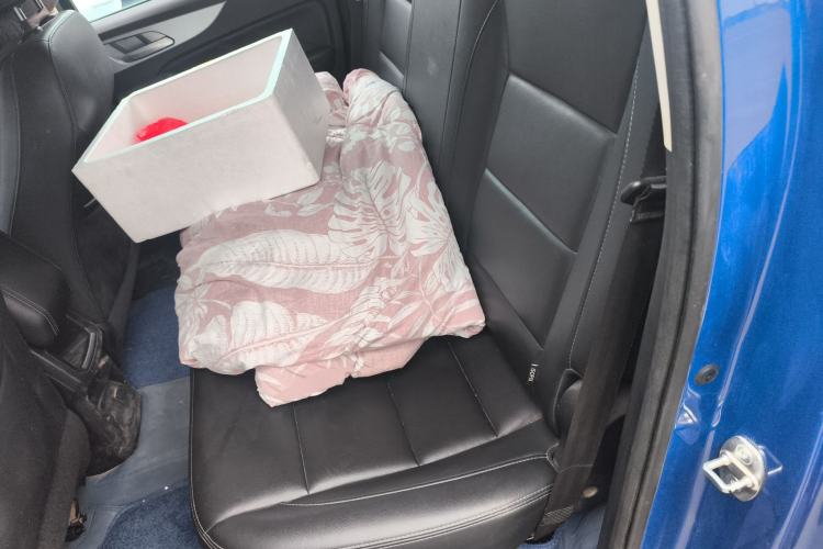 Used Great Wall Poer 2019 2.0T Commercial Version Manual Diesel Two-Wheel Drive Elite Long-Box GW4D20M Interior 4