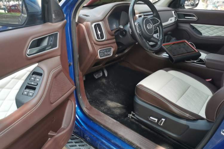 Used Great Wall Poer 2019 2.0T Automatic Gasoline 4x4 Premium Edition GW4C20B Left Front Seat
