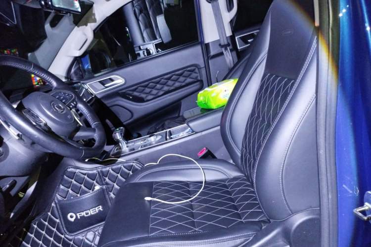 Used Great Wall Poer 2019 2.0T Automatic Gasoline Two-Wheel Drive Comfort Edition GW4C20B Left Front Seat