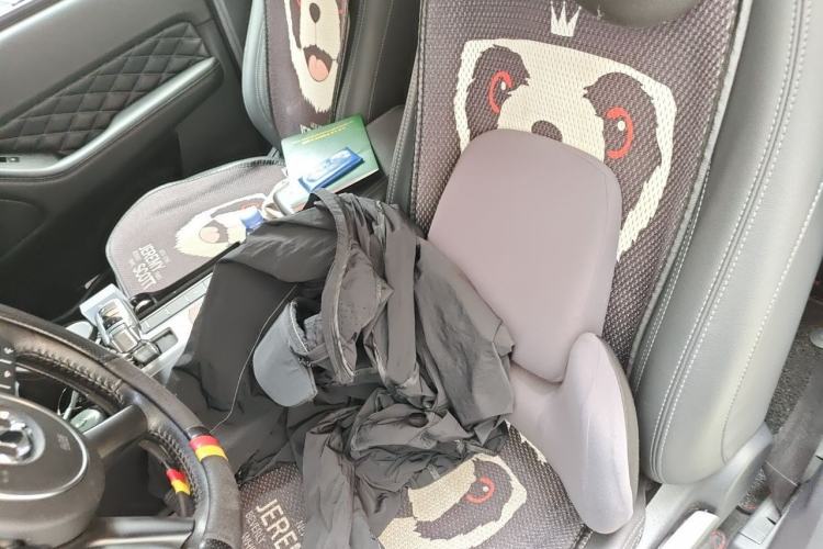 Used Great Wall Poer 2019 2.0T Automatic Gasoline Two-Wheel Drive Comfort Edition GW4C20B Left Front Seat