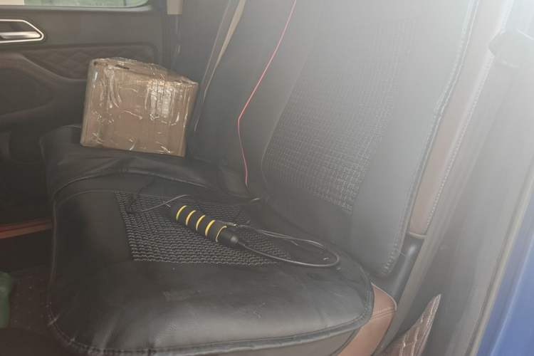 Used Great Wall Poer 2019 2.0T Automatic Gasoline 4x4 Sport Edition GW4C20B Left Rear Seat