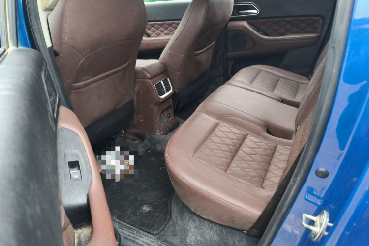 Used Great Wall Poer 2019 2.0T Automatic Gasoline 4x4 Sport Edition GW4C20B Left Rear Seat