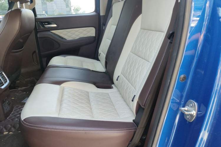 Used Great Wall Poer 2019 2.0T Automatic Gasoline 4x4 Premium Edition GW4C20B Left Rear Seat