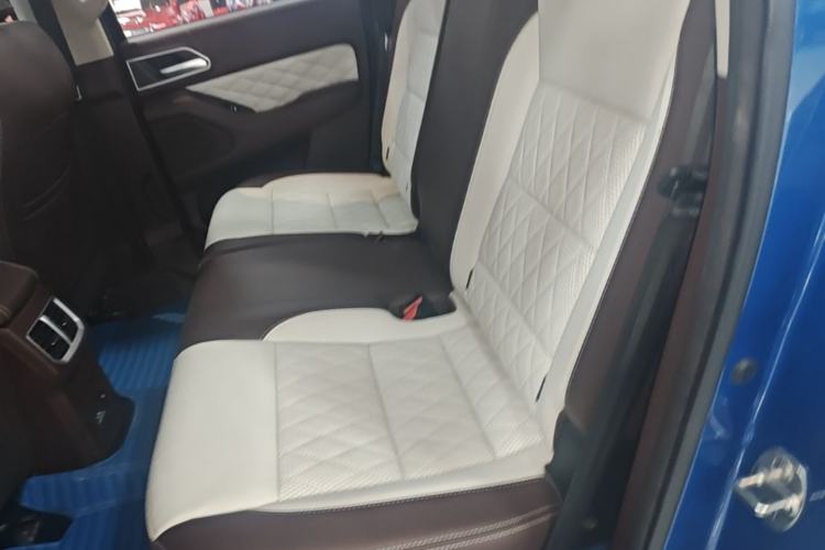 Used Great Wall Poer 2019 2.0T Automatic Gasoline 4x4 Premium Edition GW4C20B Left Rear Seat