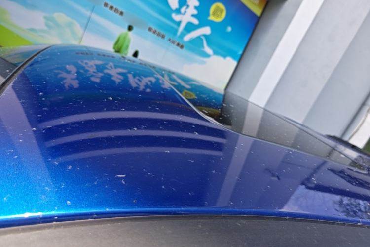 Used Great Wall Poer 2019 2.0T Automatic Gasoline 4x4 Sport Edition GW4C20B Roof