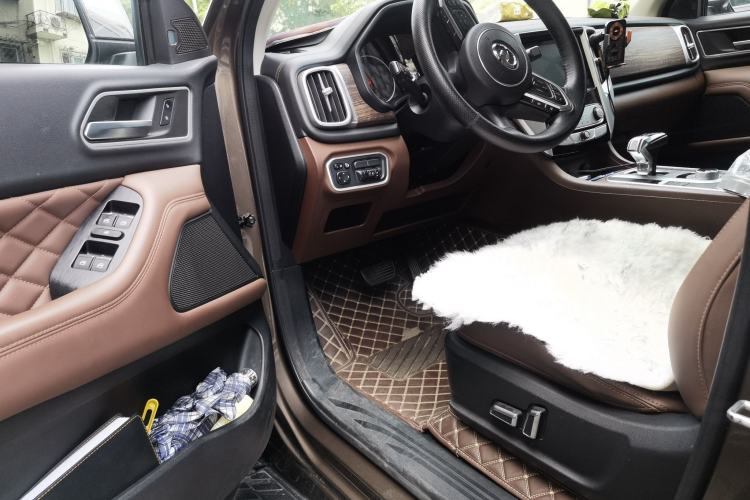 Used Great Wall Poer 2019 2.0T Automatic Gasoline 4x4 Sport Edition GW4C20B Driver Seat