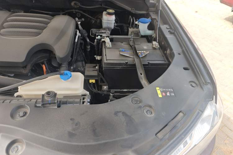 Used Great Wall Poer 2019 2.0T Commercial Version Manual Diesel 4x4 Elite Long-Box GW4D20M Engine Bay Left