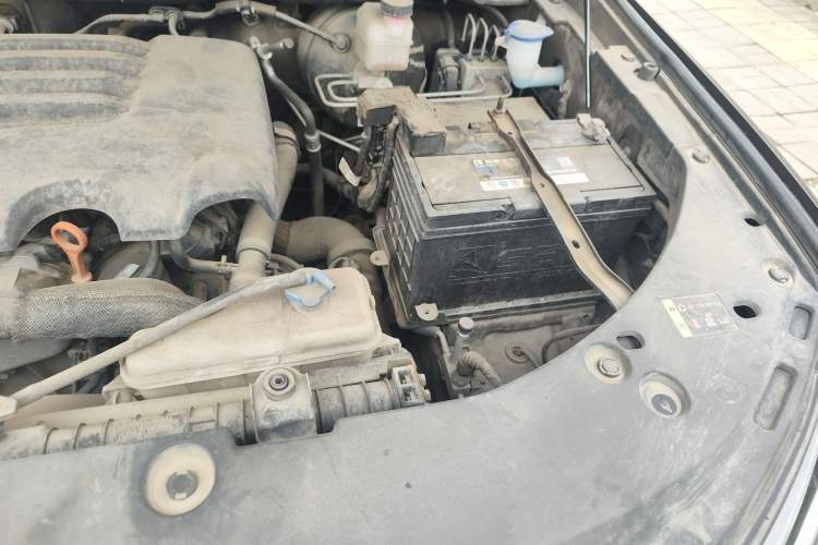 Used Great Wall Poer 2019 2.0T Automatic Gasoline 4x4 Comfort Edition GW4C20B Engine Bay Left