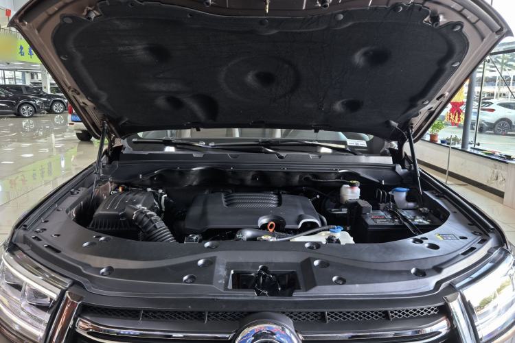 Used Great Wall Poer 2019 2.0T Automatic Gasoline 4x4 Sport Edition GW4C20B Engine Bay