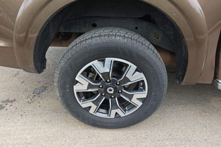 Used Great Wall Poer 2019 2.0T Automatic Gasoline Two-Wheel Drive Comfort Edition GW4C20B Exterior 5