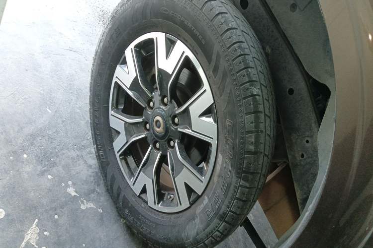 Used Great Wall Poer 2019 2.0T Automatic Gasoline Two-Wheel Drive Comfort Edition GW4C20B Exterior 6
