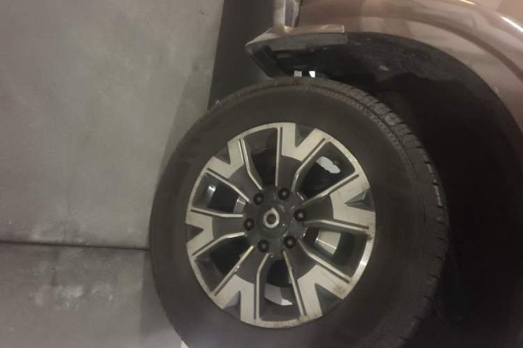 Used Great Wall Poer 2019 2.0T Automatic Gasoline Two-Wheel Drive Comfort Edition GW4C20B Exterior 7