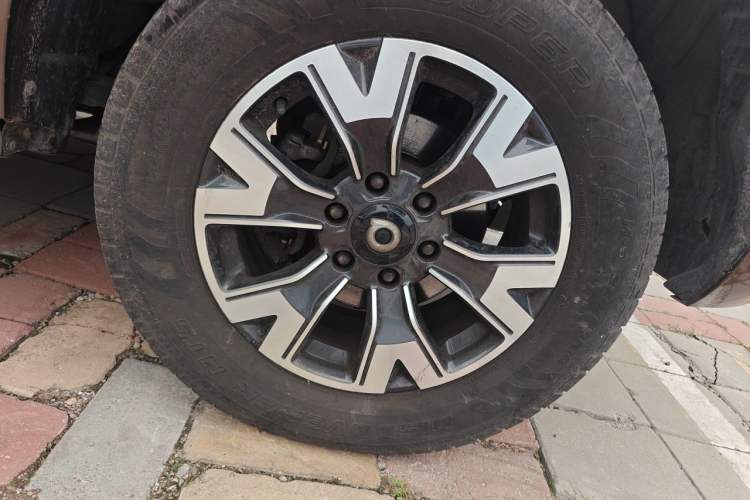 Used Great Wall Poer 2019 2.0T Automatic Gasoline Two-Wheel Drive Comfort Edition GW4C20B Exterior 7