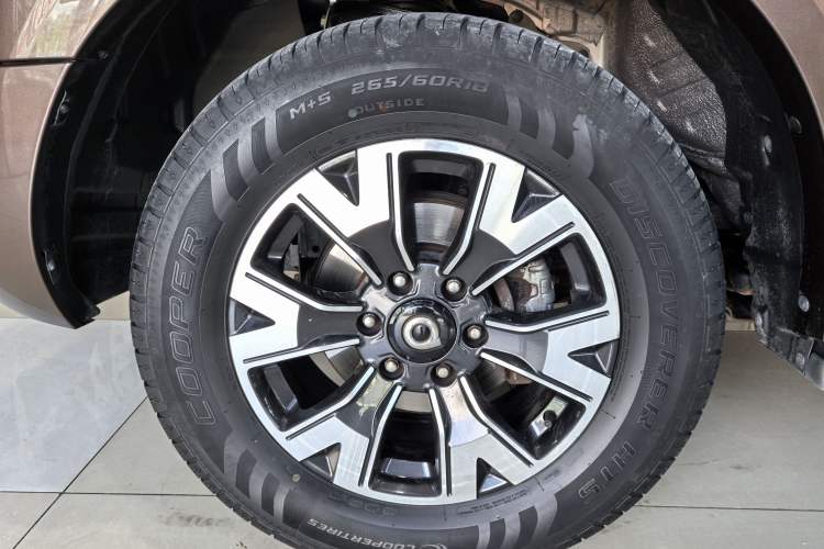 Used Great Wall Poer 2019 2.0T Automatic Gasoline 4x4 Sport Edition GW4C20B Exterior 8