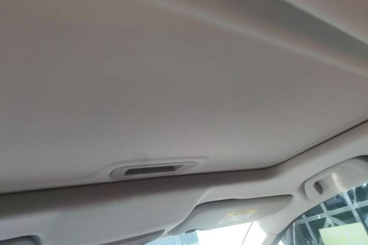 Used Great Wall Poer 2019 2.0T Automatic Gasoline 4x4 Comfort Edition GW4C20B Headliner