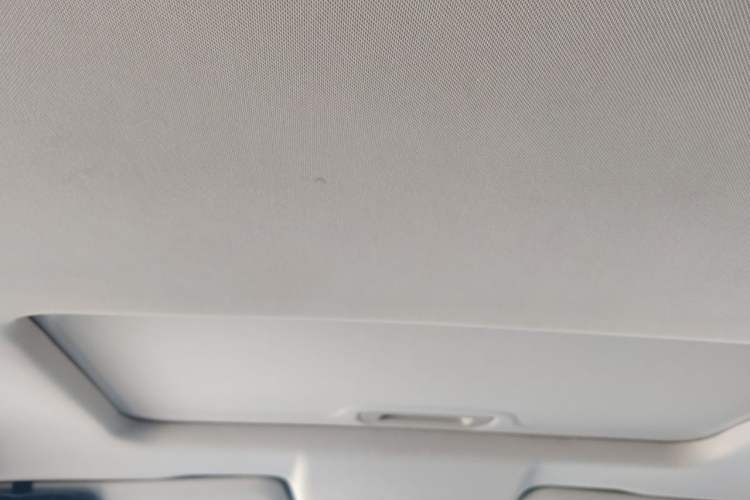 Used Great Wall Poer 2019 2.0T Automatic Gasoline 4x4 Comfort Edition GW4C20B Headliner