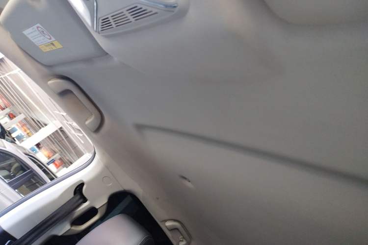 Used Great Wall Poer 2019 2.0T Commercial Version Automatic Gasoline Two-Wheel Drive Elite Trim with Long Bed – GW4C20B Headliner