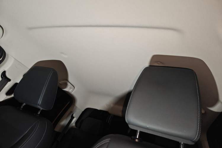 Used Great Wall Poer 2019 2.0T Commercial Version Automatic Gasoline Two-Wheel Drive Elite Trim with Long Bed – GW4C20B Headliner