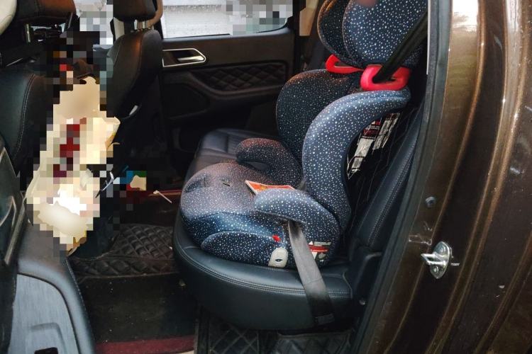 Used Great Wall Poer 2019 2.0T Automatic Gasoline 4x4 Comfort Edition GW4C20B Left Rear Seat