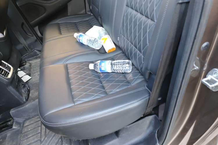 Used Great Wall Poer 2019 2.0T Automatic Gasoline Two-Wheel Drive Comfort Edition GW4C20B Left Rear Seat