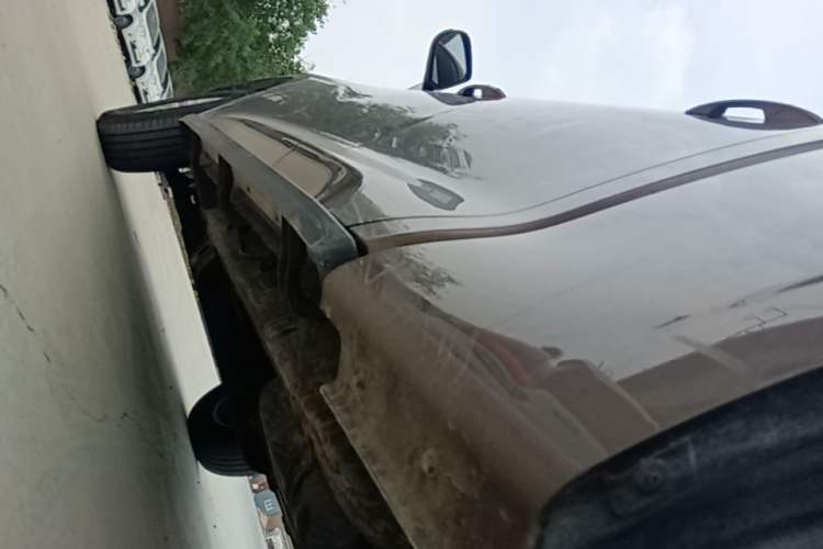 Used Great Wall Poer 2019 2.0T Commercial Version Automatic Gasoline Two-Wheel Drive Elite Trim with Long Bed – GW4C20B Left Side Sill