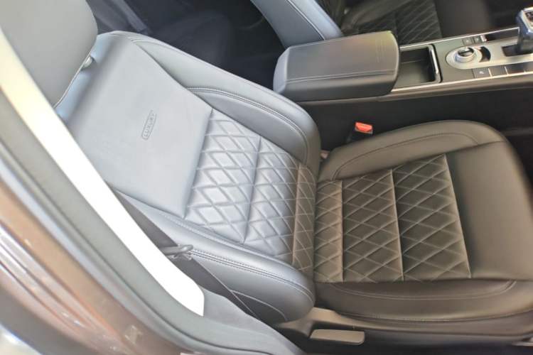 Used Great Wall Poer 2019 2.0T Automatic Gasoline Two-Wheel Drive Comfort Edition GW4C20B Right Front Seat