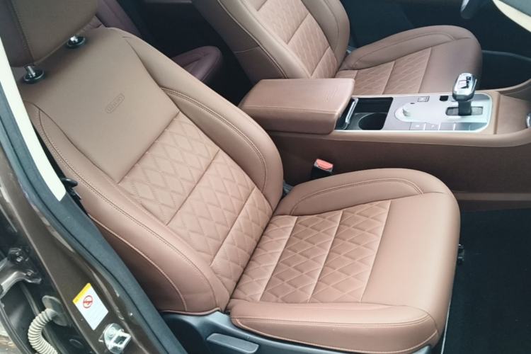 Used Great Wall Poer 2019 2.0T Automatic Gasoline 4x4 Sport Edition GW4C20B Right Front Seat