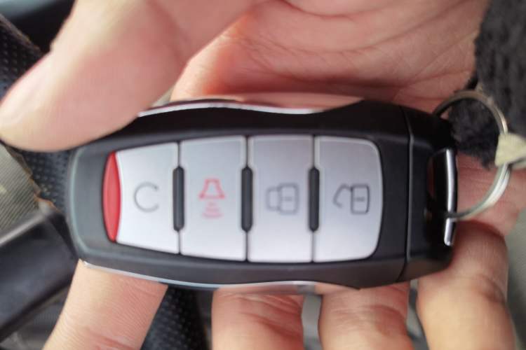 Used Great Wall Poer 2019 2.0T Automatic Gasoline Two-Wheel Drive Comfort Edition GW4C20B Vehicle Key