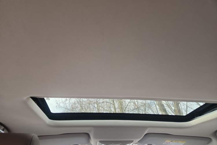Used Great Wall Poer 2019 2.0T Automatic Gasoline 4x4 Sport Edition GW4C20B Headliner