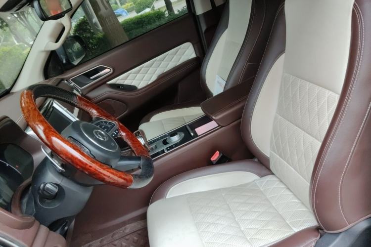 Used Great Wall Poer 2019 2.0T Automatic Gasoline 4x4 Premium Edition GW4C20B Left Front Seat