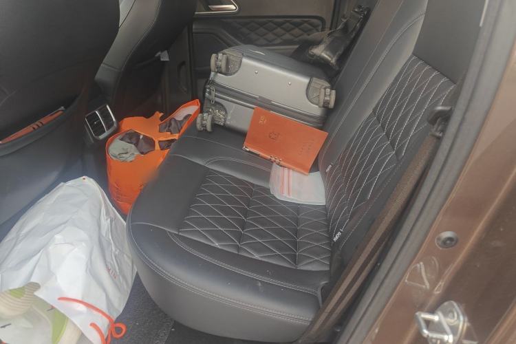 Used Great Wall Poer 2019 2.0T Automatic Gasoline 4x4 Comfort Edition GW4C20B Left Rear Seat