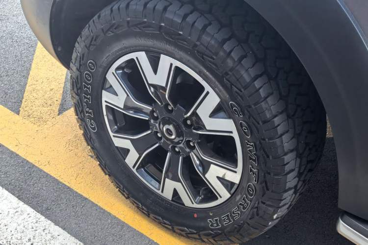 Used Great Wall Poer 2019 2.0T Automatic Gasoline 4x4 Comfort Edition GW4C20B Exterior 7