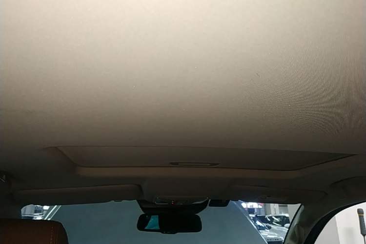 Used Great Wall Poer 2019 2.0T Automatic Gasoline 4x4 Sport Edition GW4C20B Headliner