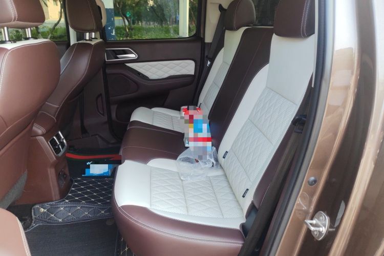 Used Great Wall Poer 2019 2.0T Automatic Gasoline 4x4 Premium Edition GW4C20B Left Rear Seat