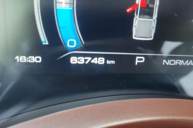 Used Great Wall Poer 2019 2.0T Automatic Gasoline 4x4 Premium Edition GW4C20B Odometer Close Up